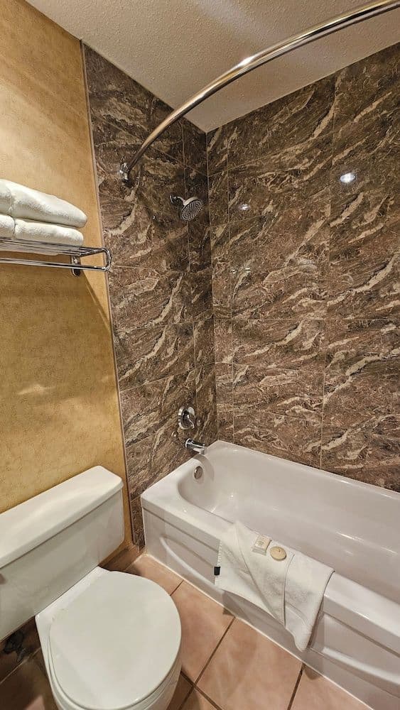 Deluxe Suite, 1 King Bed with Sofa bed