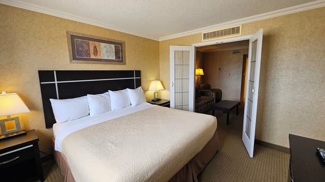 Deluxe Suite, 1 King Bed with Sofa bed