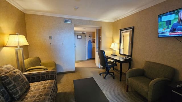 Deluxe Suite, 1 King Bed with Sofa bed