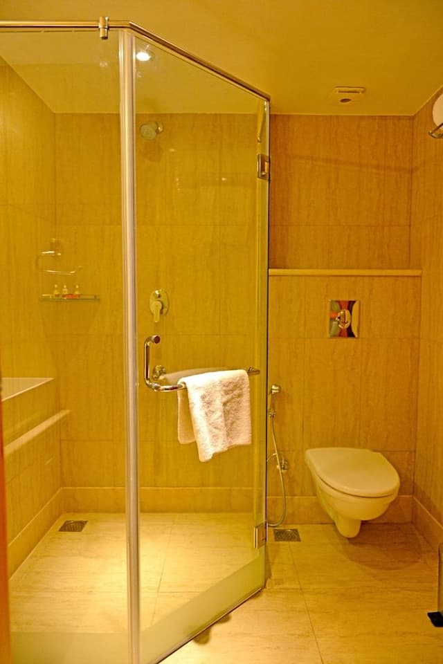 Executive Room, City View