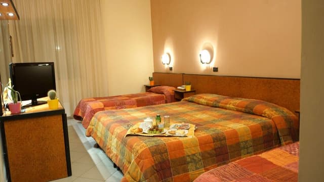 Basic Triple Room