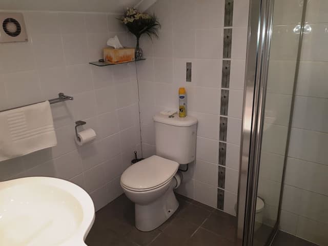 Standard Double Room Additional Single Bed (Top Floor - Stair Access)