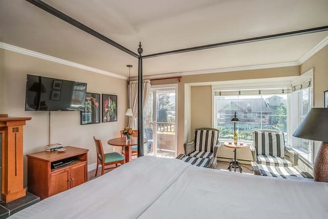 The Courtyard - Oceanview King (Pet and child friendly)