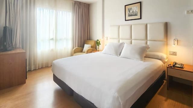 1 King Bed, Suite