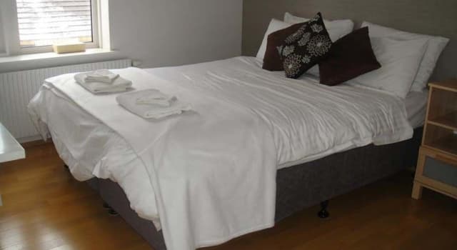 Double Room, 1 Double Bed