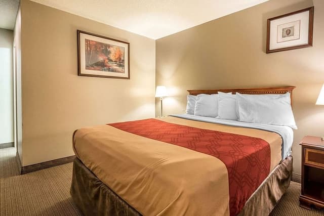 Standard Room, 1 Queen Bed, Non Smoking