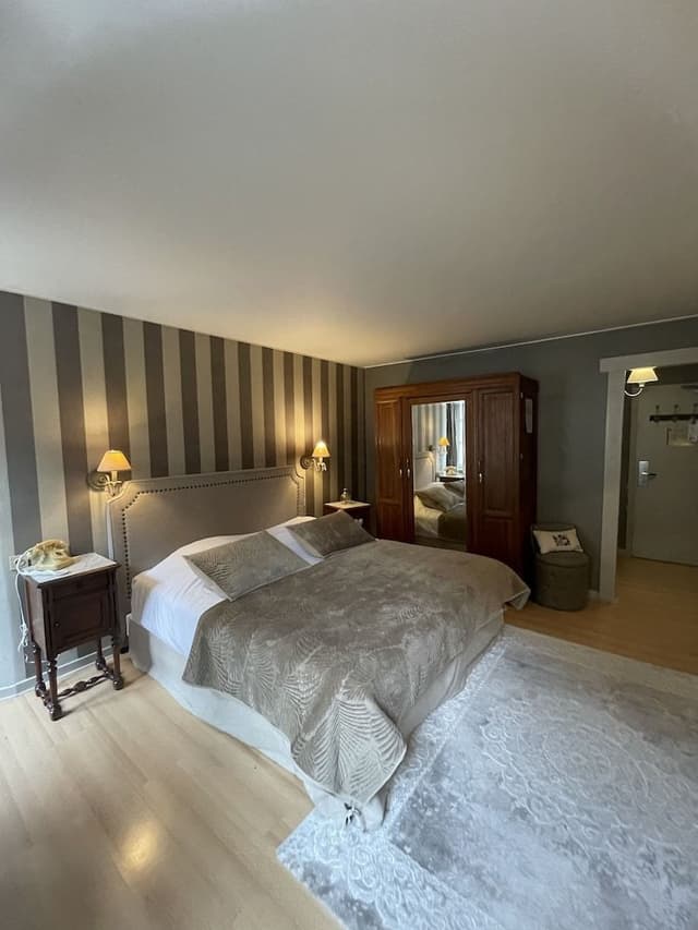 Superior Double or Twin Room