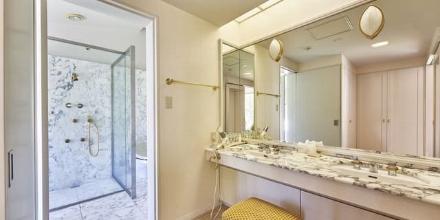 Luxury Suite