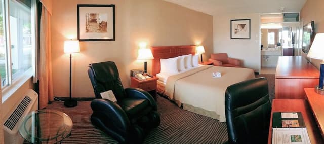 Executive Room, 1 King Bed, Non Smoking, Courtyard Area