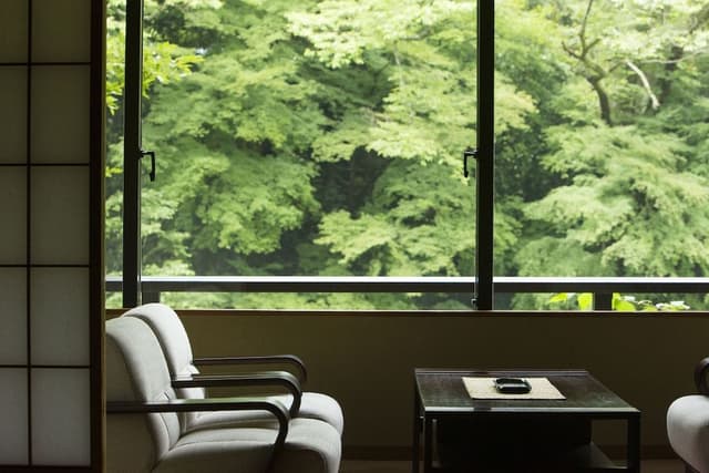 Traditional Room (Japanese-Style)