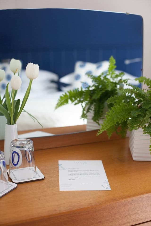 Deluxe Double or Twin Room (Super King Bed)