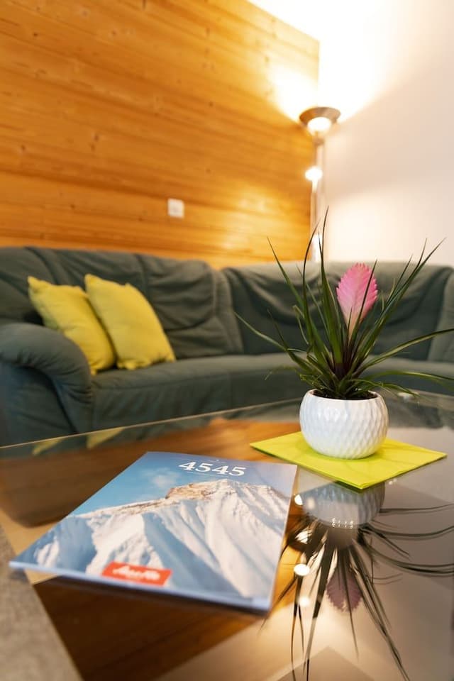 Superior Apartment