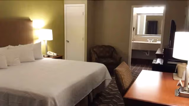 Standard Room, 1 King Bed