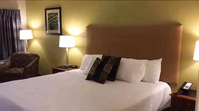 Standard Room, 1 King Bed