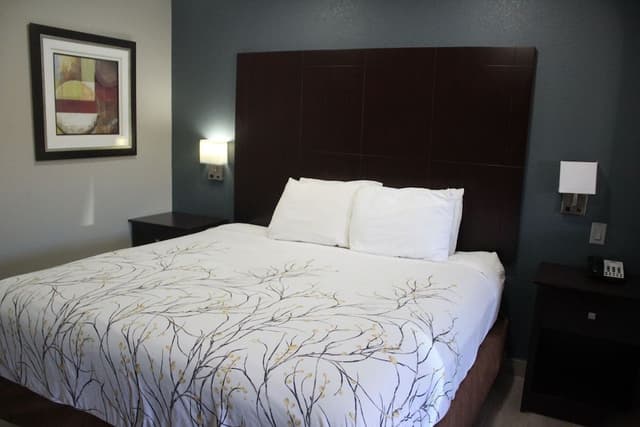 Executive Room, 1 King Bed, Non Smoking