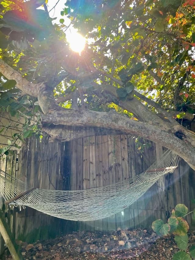Luxury Cottage, 1 Bedroom, Hot Tub, Bay View (Rainforest Room)