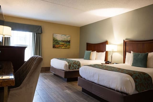 Suite, 1 Bedroom