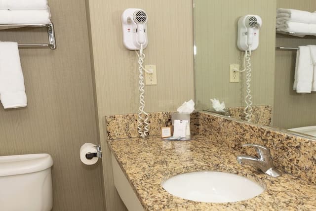 Suite, 1 Bedroom