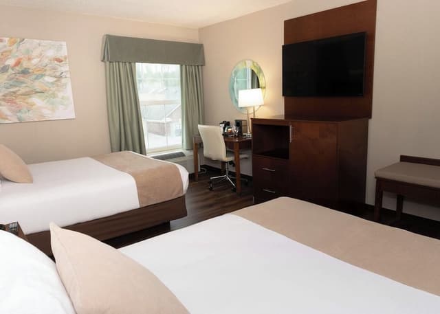 Suite, 1 Bedroom