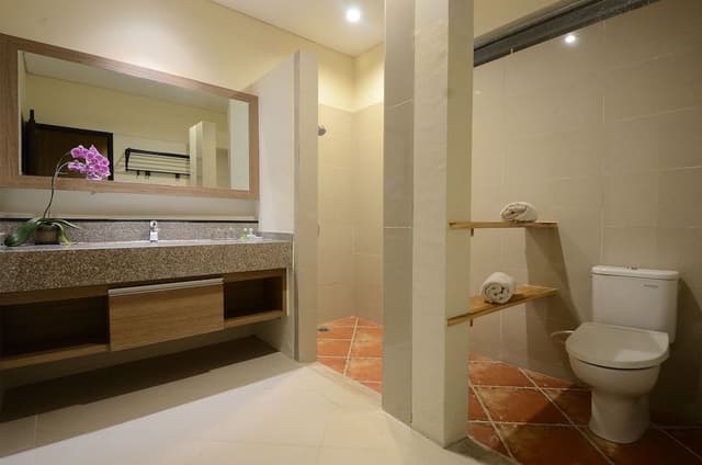 Premier Room (Pool or Garden View)