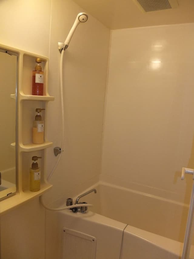 Superior Japanese Style Room (Room Only)