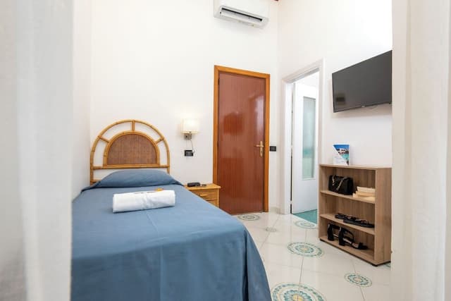 Classic Single Room