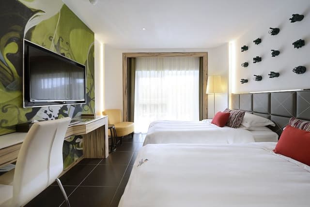 Provence Twin room mountain view (provide 2 single beds combine service)