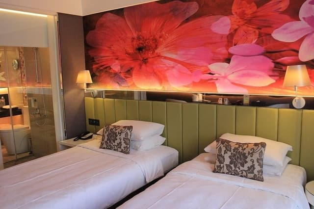 Provence Twin room mountain view (provide 2 single beds combine service)
