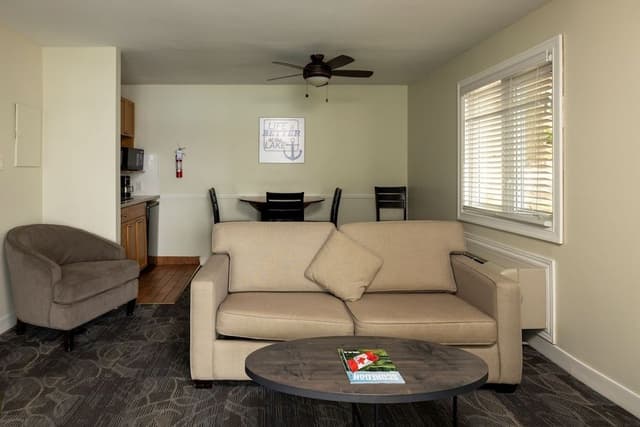 Suite, 1 King Bed with Sofa bed