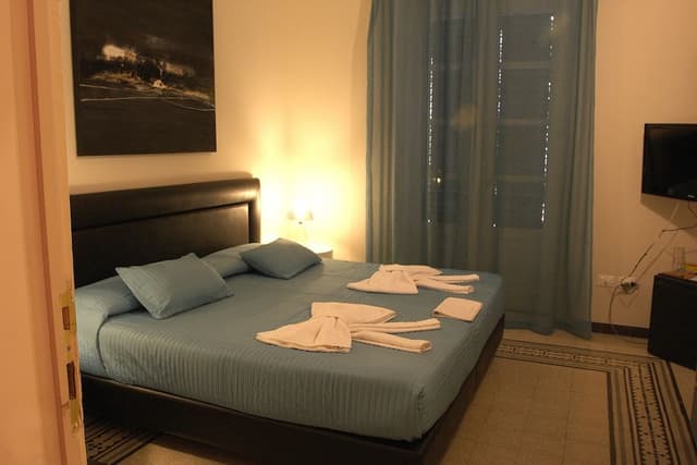 Double or Twin Room