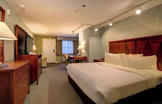 Presidential Room with 1 King Bed