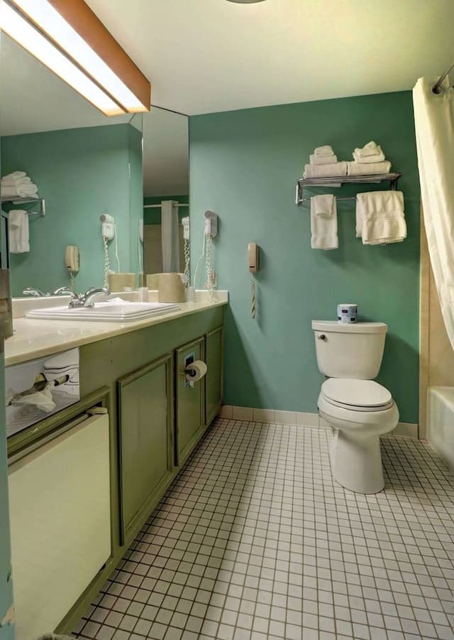 Presidential Room with 1 King Bed