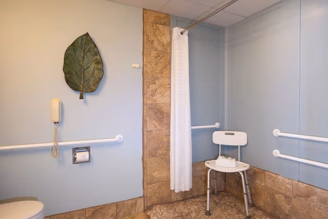 Spa Suite with 1 King Bed, Accessible