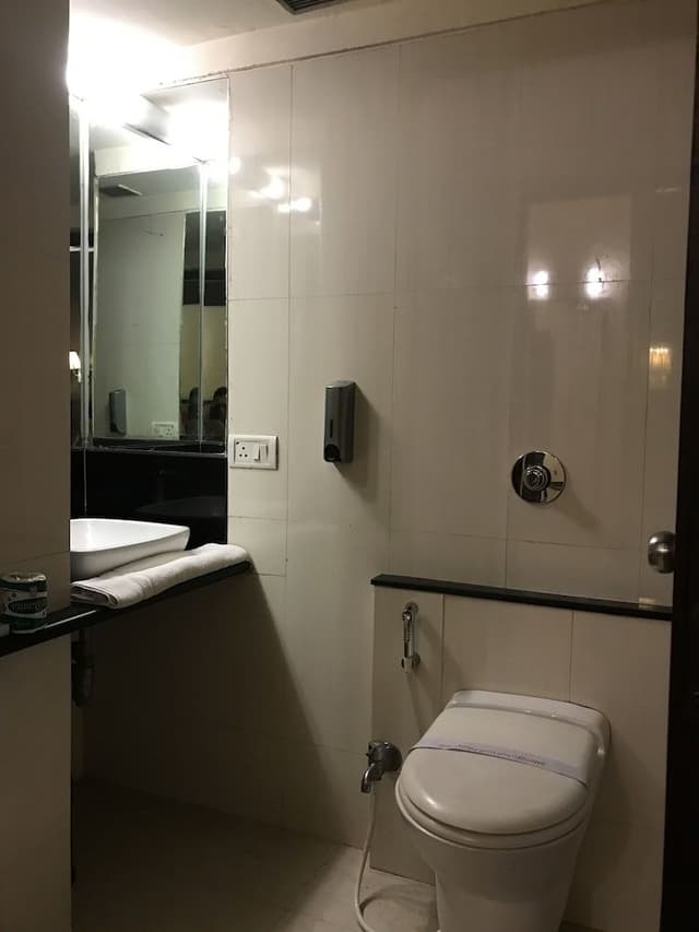 Deluxe Room, Private Bathroom