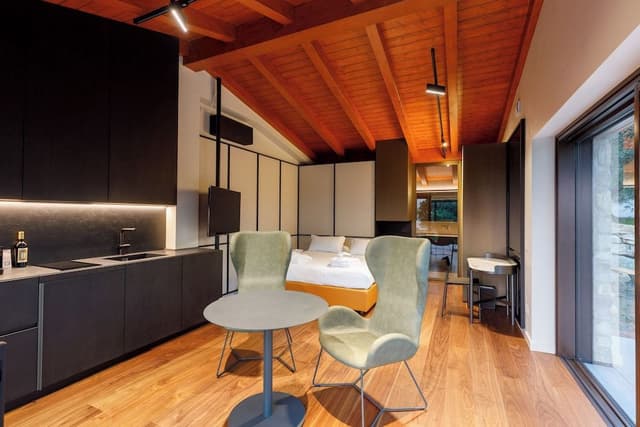 Luxury Studio Suite, Patio, Lake View (Accessible)