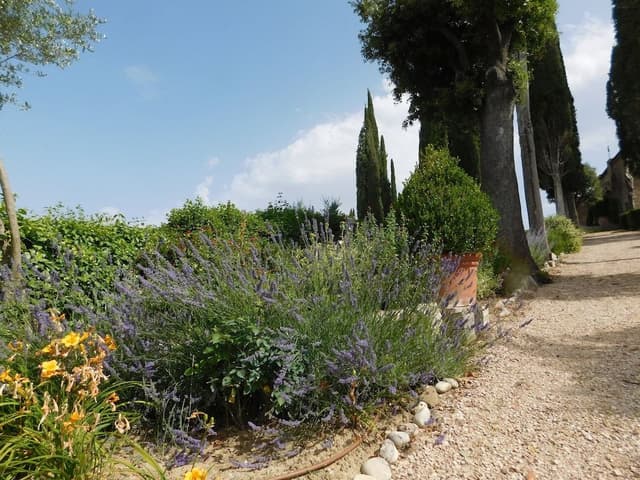 Family Apartment, 2 Bedrooms, 2 Bathrooms, Courtyard Area