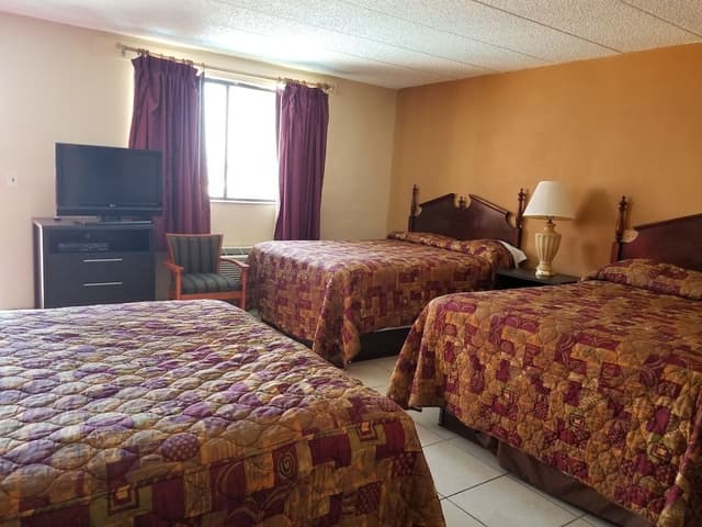 Standard Room, Multiple Beds, Non Smoking
