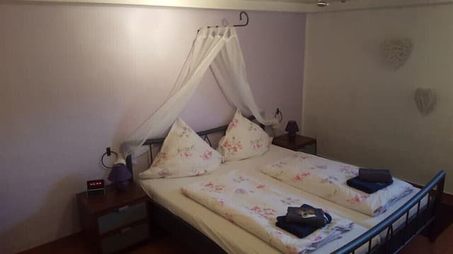 Basic Double Room