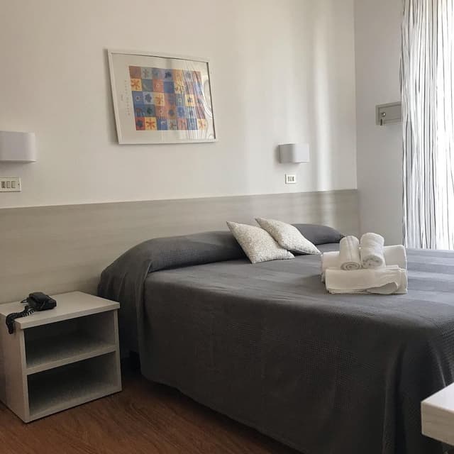 Standard Double or Twin Room
