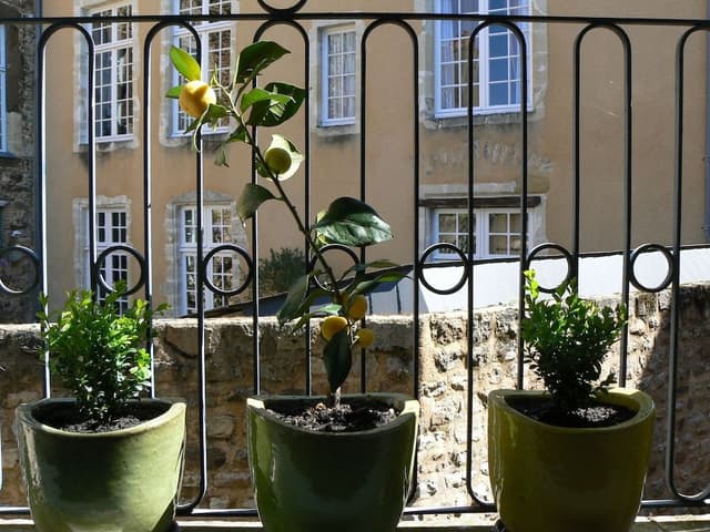 Superior Duplex, Multiple Beds, Non Smoking, City View