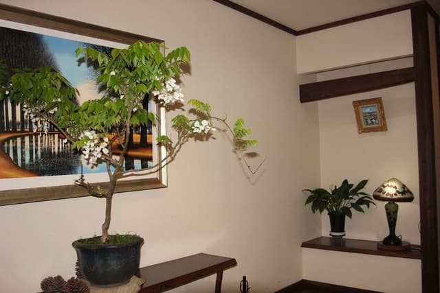 Standard Japanese Style Room with Private Open-air Bath, Annex Building