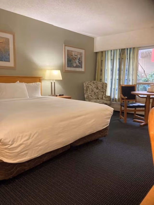 Business Room, 1 King Bed
