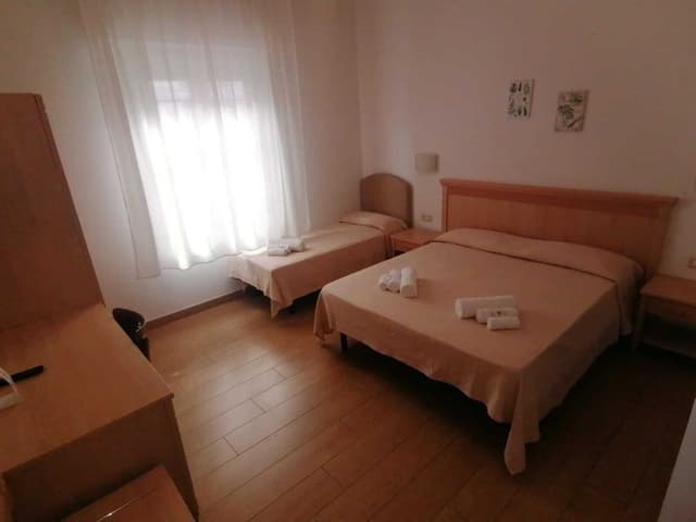 Basic Triple Room