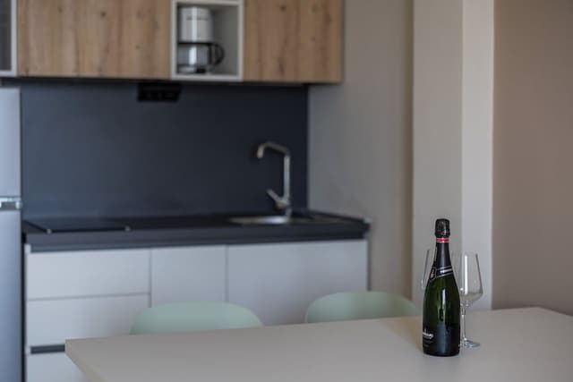 Panoramic Apartment, Lake View