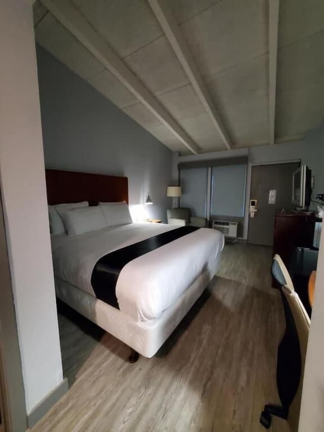 Standard Single Room, 1 King Bed