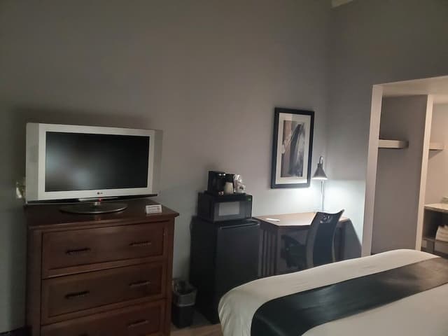 Standard Single Room, 1 King Bed
