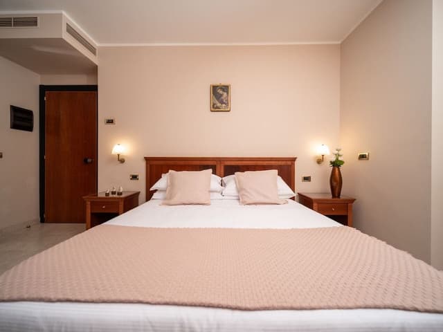 Superior Room, 1 King Bed (Letto Matrimoniale)