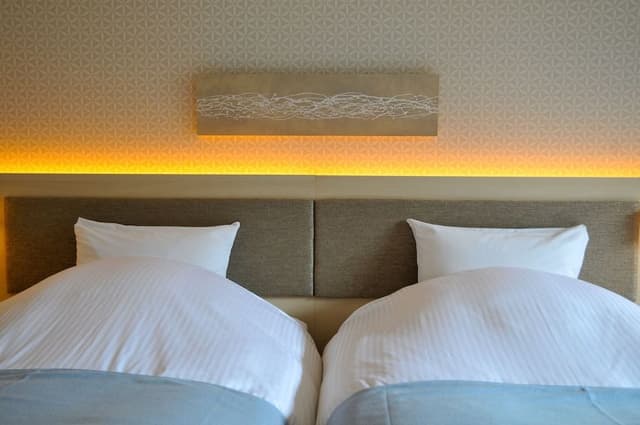 Twin Room (Annex)
