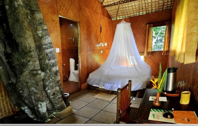 Tree House - For 2 Adults only