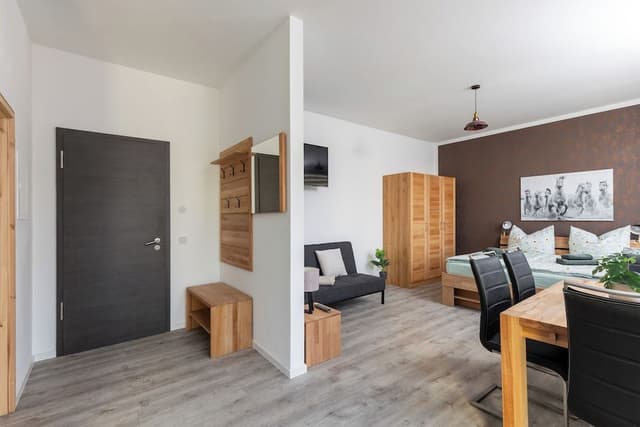 Superior Studio, 1 King Bed with Sofa bed, Patio, Courtyard View